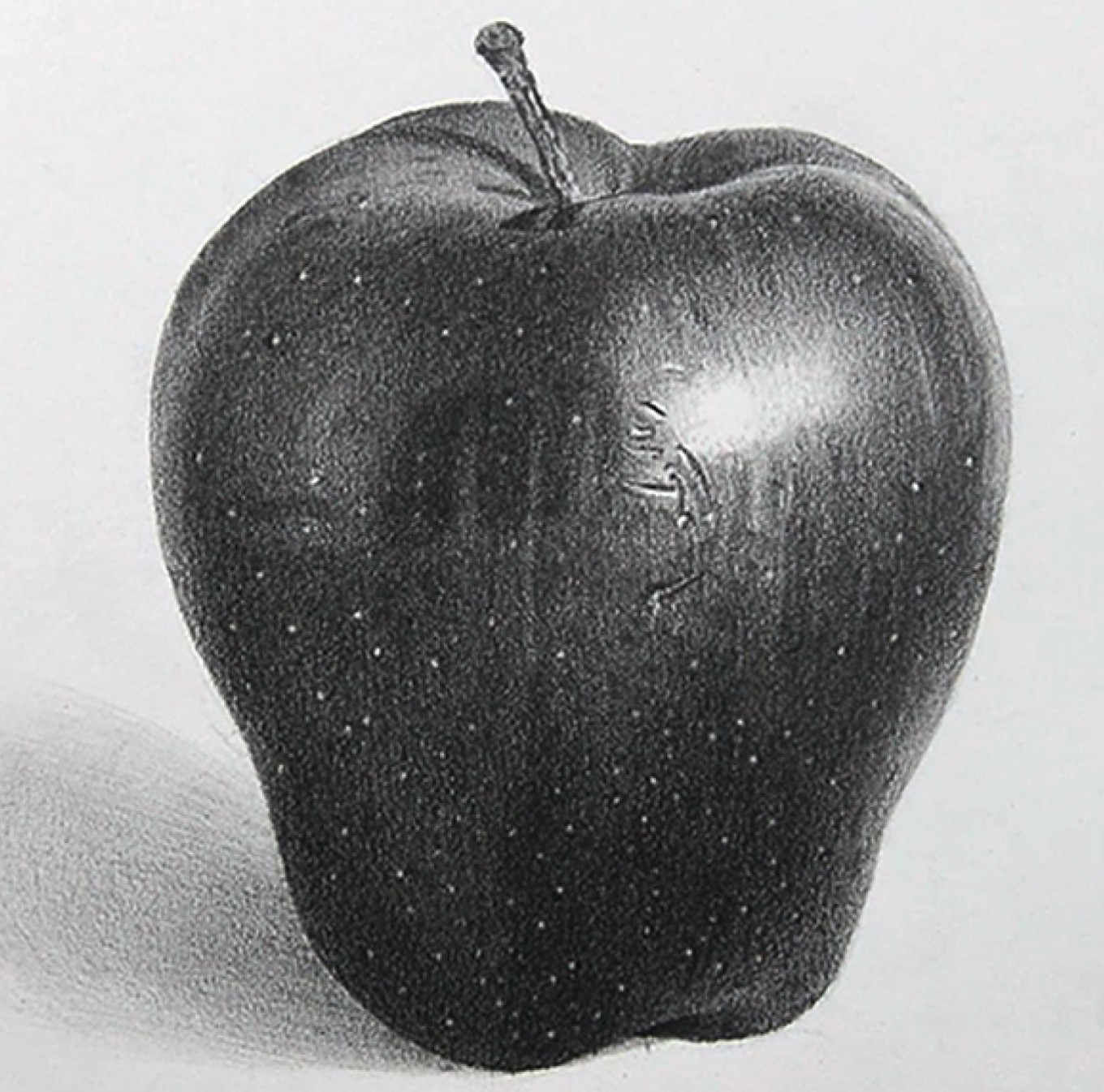 How to Draw an Apple Step by Step  EasyLineDrawing